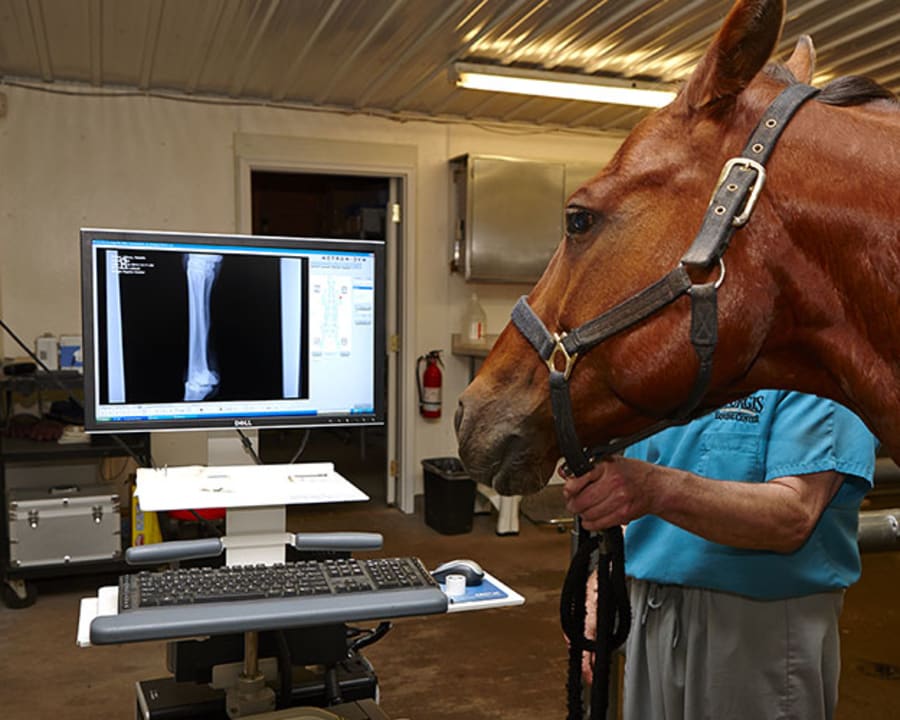 Diagnostic & Lab Technology, Sturgis Vet