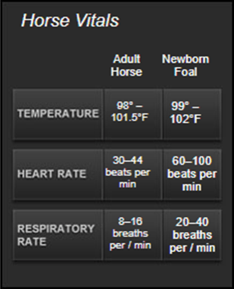 Horse Vital Ranges for Adults and Foals