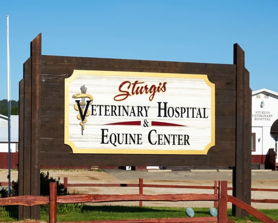 Sturgis Veterinary Hospital & Equine Center in Sturgis